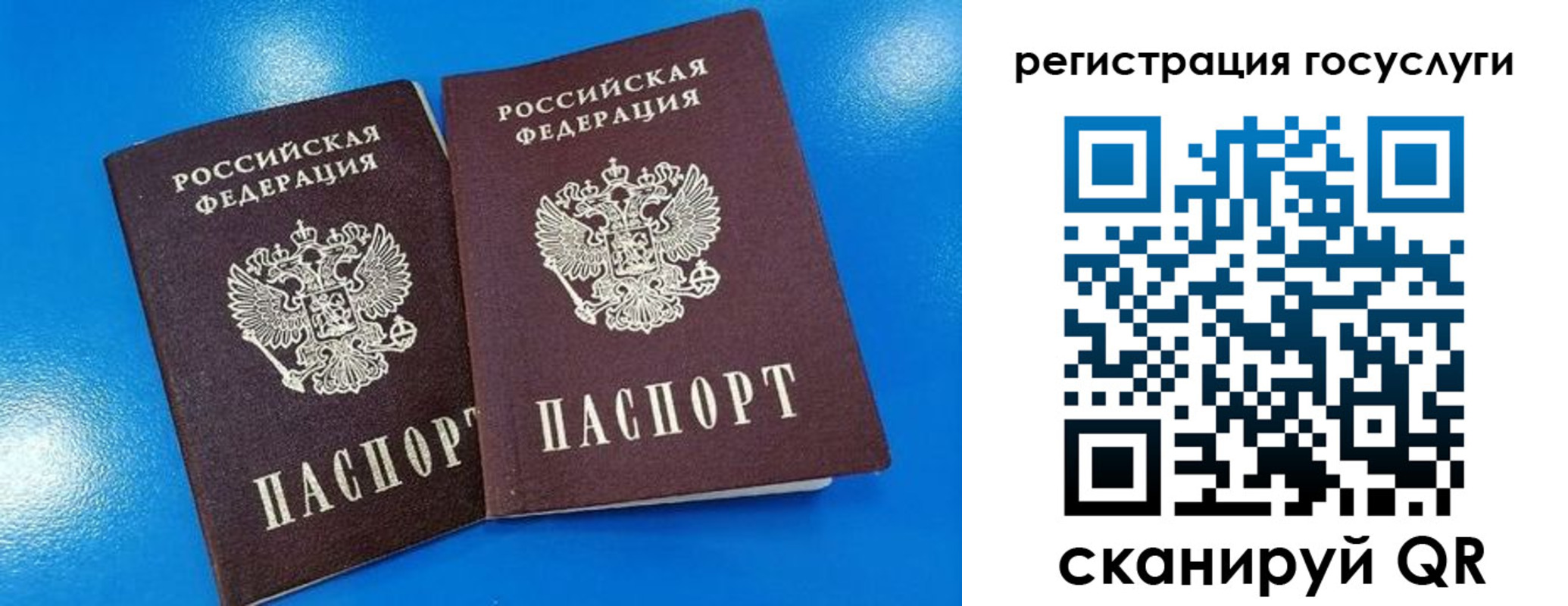 регистрация в Волгоградской области